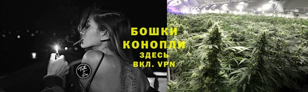 трава Зеленодольск