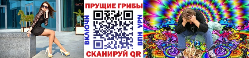 Галлюциногенные грибы мухоморы  Купить закладки  Черняховск 
