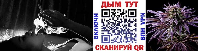 Купить закладки  Черняховск  Бошки Шишки Amnesia 